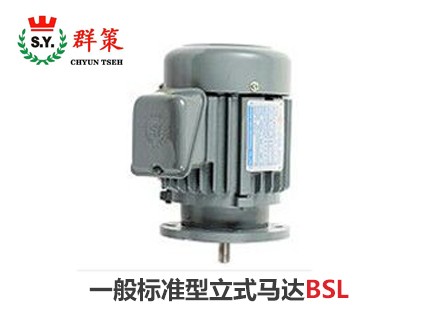 群策電機(jī)_一般標(biāo)準(zhǔn)型立式馬達(dá)BSL